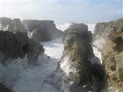 Tempest on" la côte sauvage"
