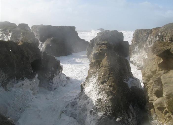 Tempest on" la côte sauvage"