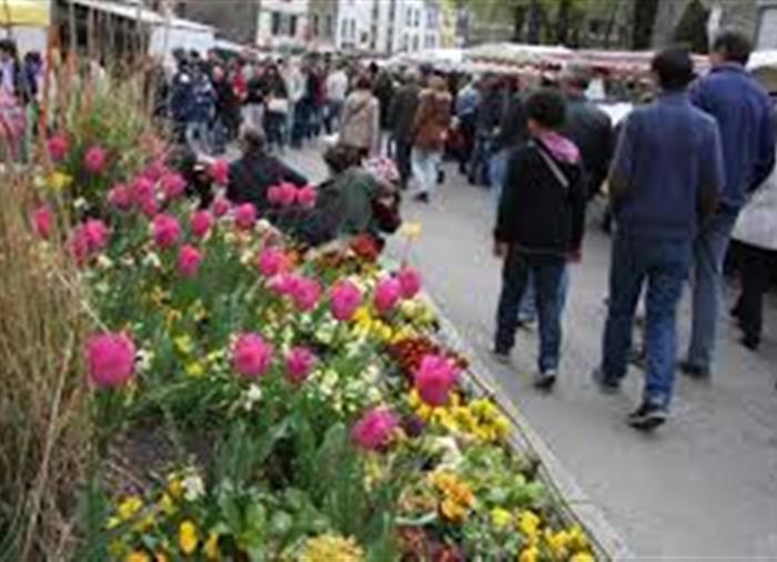 The big Market every mondays